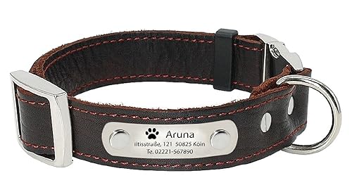 ID Echtleder Halsband mit Edelstahlplatte + Gravur nach Wunsch Hunde in Braun