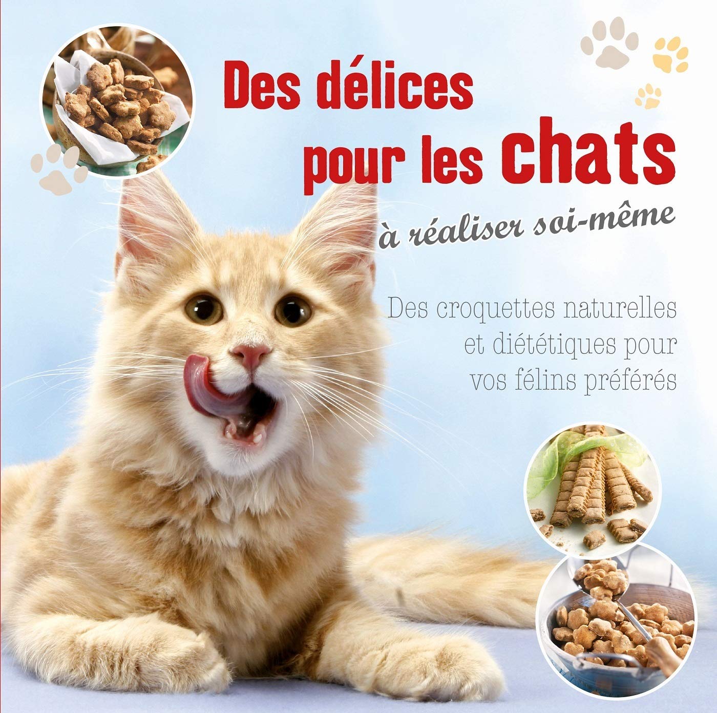 Delices Pour Les Chats Cuisine Amazon Com Books