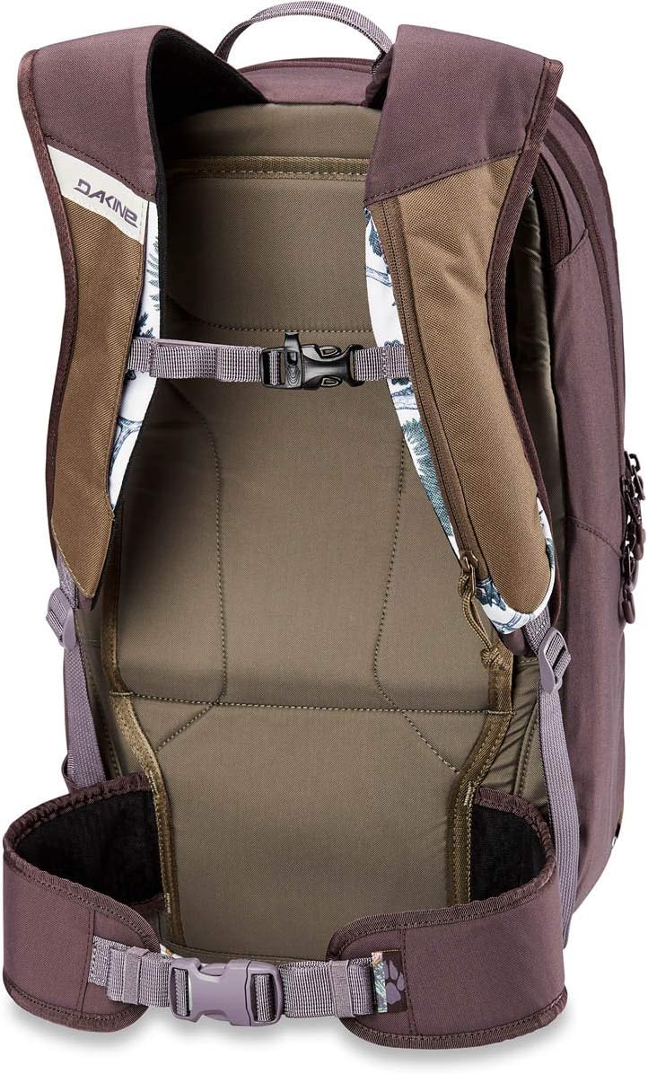 dakine team mission pro