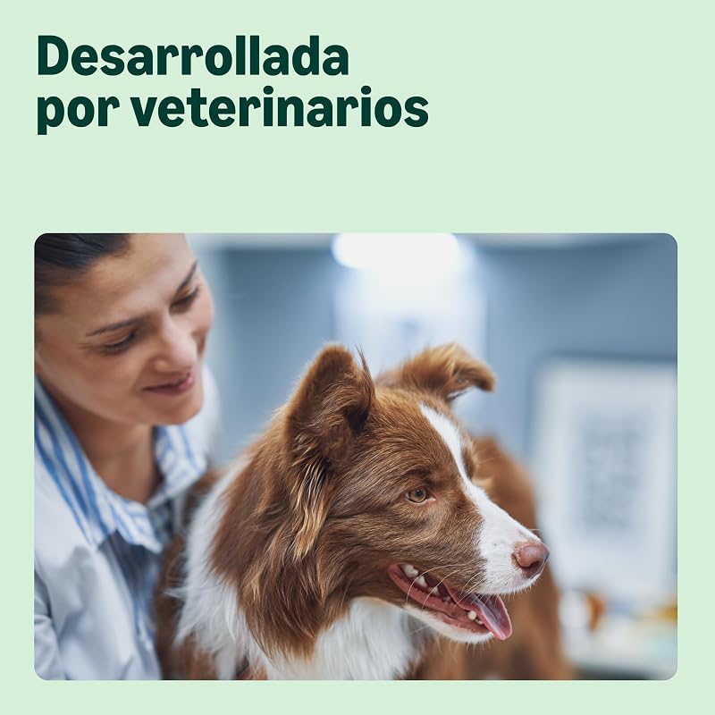 Alimento seco prémium para Perros Adultos, Pollo Grande, 3 kg, 1 Paquete