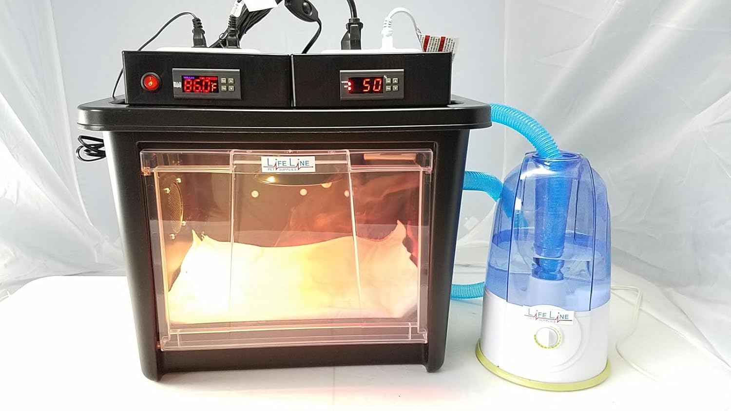 Small Black Hinged Door Heat Lamp Incubator with BuiltIn Digital