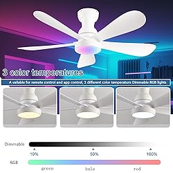NKPU 42 Inch Ceiling Fans with Lights and