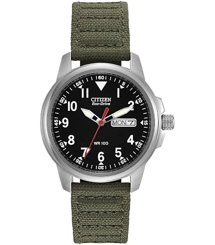 Amazon.com: Citizen Men's Eco-Drive Weekender Garrison Field Watch
