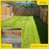 Boston Seeds Fast Growing Grass Seed 20kg Hard Wearing Lawn Seed view 6