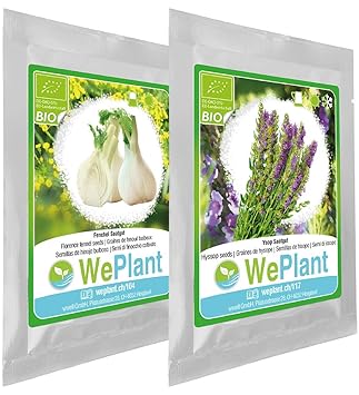 BIO Fenchel & Ysop Pflanzen-Samen Set - indoor/outdoor