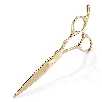salon hair scissors