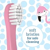 Dr Brown's Flamingo Toddler Toothbrush, Pink, Age 1-4, Soft Bristles view 4