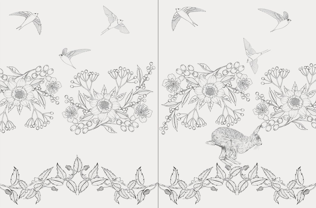 世界の美しい鳥と花のぬり絵ブック ディジー フレッチャー Daisy Fletcher 本 通販 Amazon