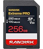 Amazon.com: SanDisk 256GB Extreme PRO SDXC UHS-II Memory Card