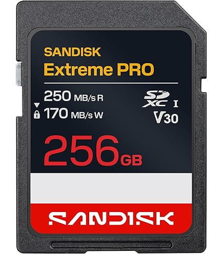 Amazon.com: [Older Version] SanDisk 256GB Extreme PRO SDXC UHS-I