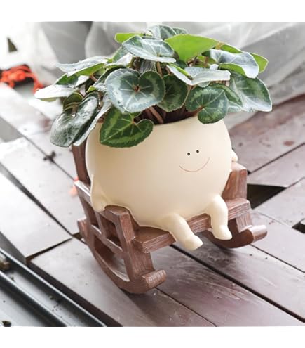 Pot De Fleurs Totoro, 17 Styles, Dessin Animé, Mignon, Plantes Succulentes, Décoration De Maison