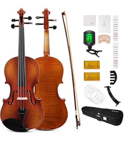 Amazon.com: Stagg VN-4/4-Size EF 4/4-Size Solid Spruce Top Maple