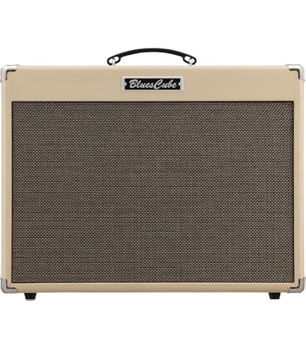 Amazon.com: Roland Blues Cube Stage 60-Watt 1x12 Inches Combo Amp