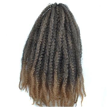 Amazon Com Wanya Afro Marley Twist Braiding Braids Hair 3 Packs