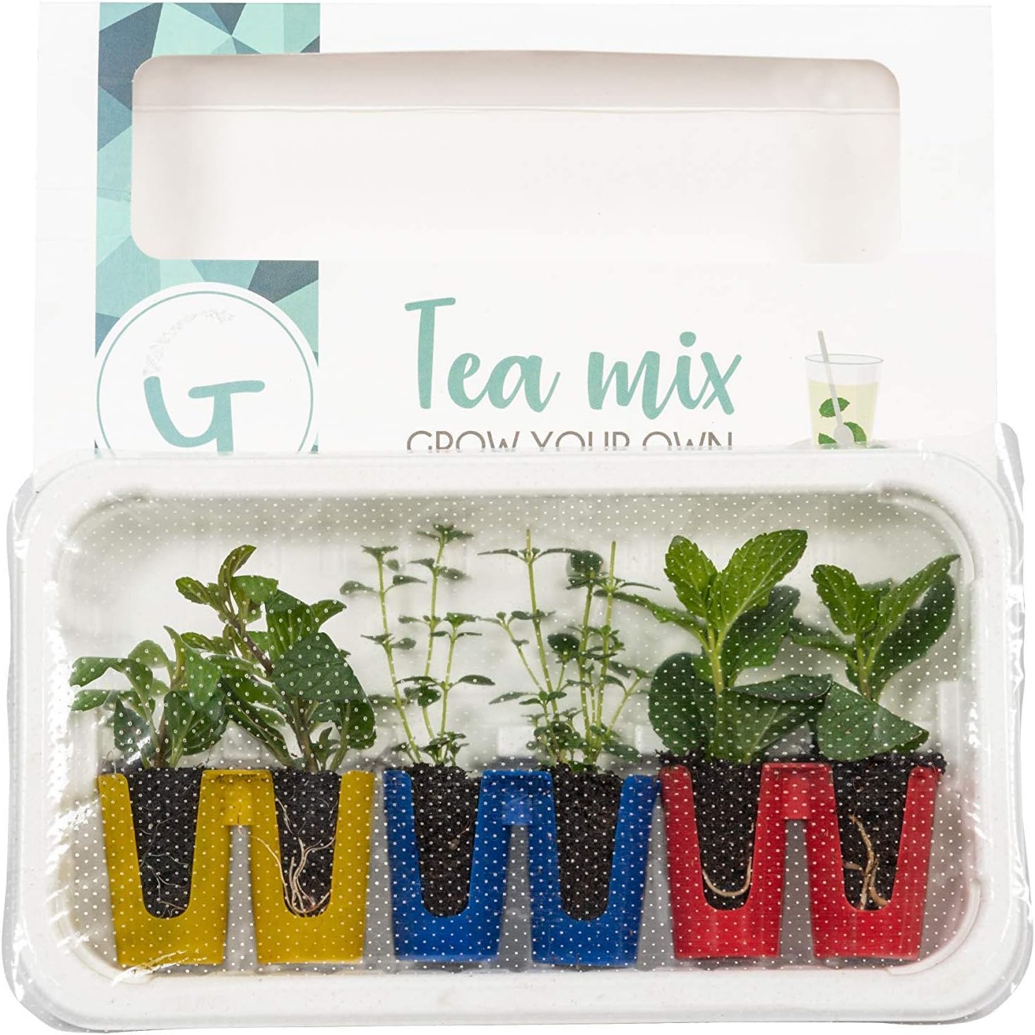 Seville Farms The Gardians Tea Mix Herbs, 6 Pack, Green