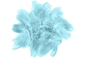HaiMay 450 Pieces Blue Feathers for Craft Wedding Home Party Decorations, 3-5 Inches Blue Craft Feathers