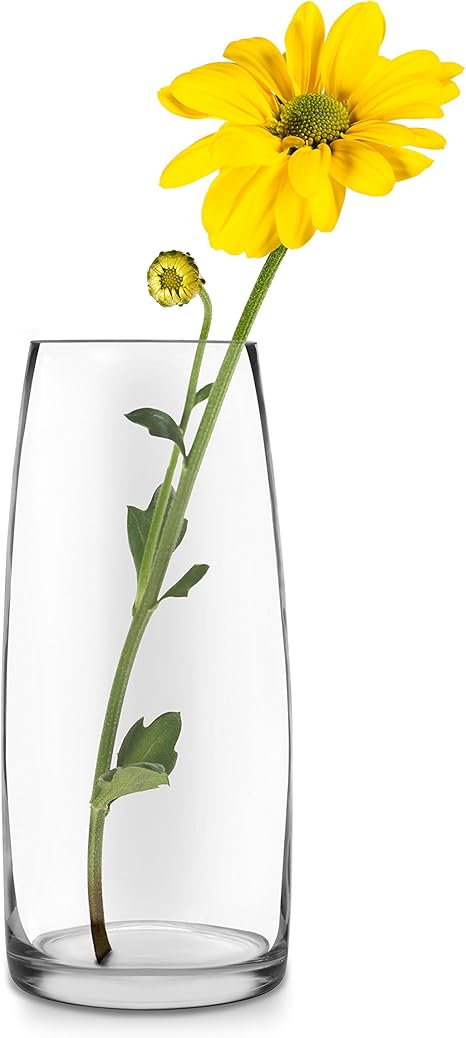 Amazon Libbey ポピーガラス花瓶 12インチ 2個セット 花器 インテリアボウル オンライン通販