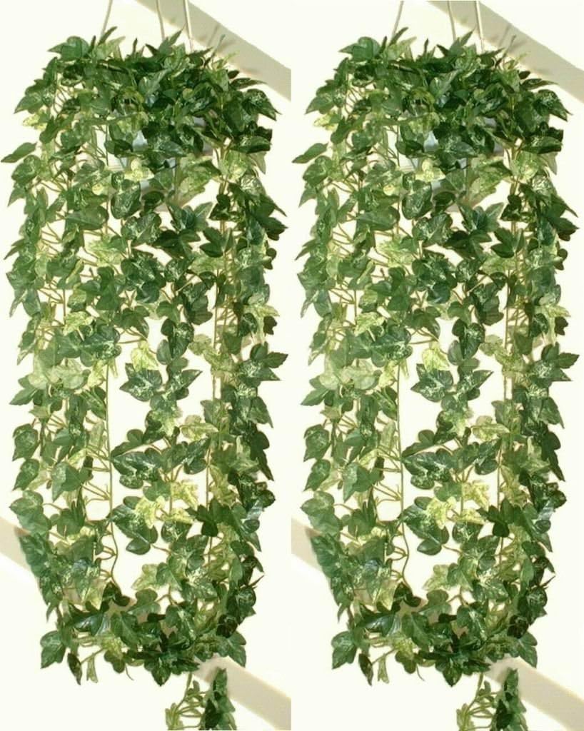 2 x 37" Cissus Ivies, Artificial Hanging Plants Amazon.co.uk Kitchen