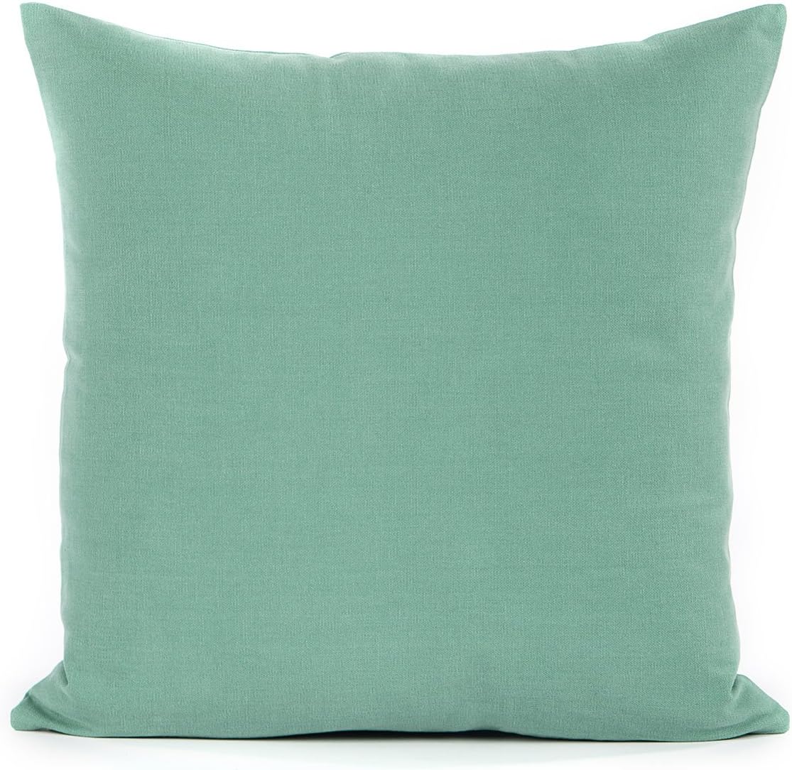 Amazon Com Silver Fern Decor 16 X 16 Seafoam Green Throw Pillow