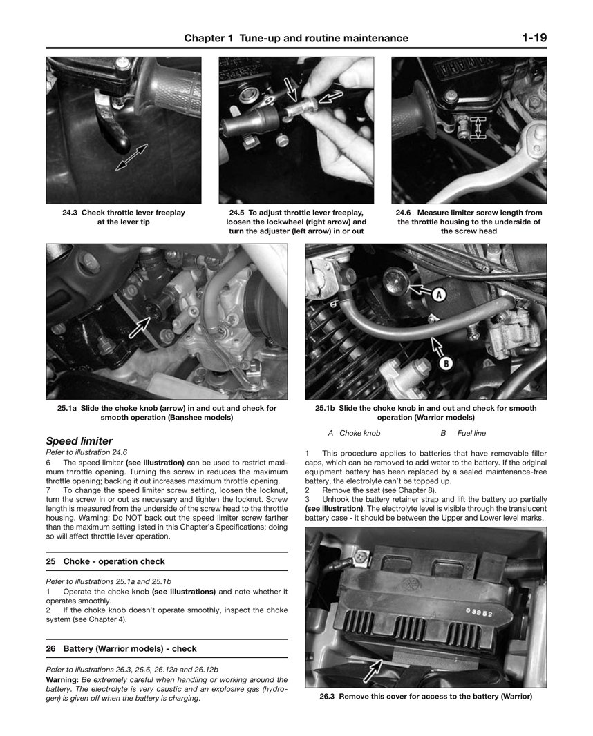 Amazon.com: 1987-2010 Yamaha Banshee Warrior Raptor 350 HAYNES REPAIR MANUAL:  Automotive