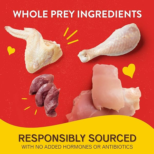 STELLA & CHEWY’S FREEZE-DRIED RAW LIL’ BITES CHICKEN LITTLE RECIPE SMALL BREED DOG FOOD, 7 OZ. BAG