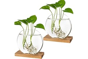 Kingbuy Round Glass Desktop Planter with Wooden Stand - Propagation Station for Small Hydroponic Plants, Spider Plants, Pothos, Lucky Bamboo - Terrarium Vase for Home Office Decor, 2-Pack, Brown