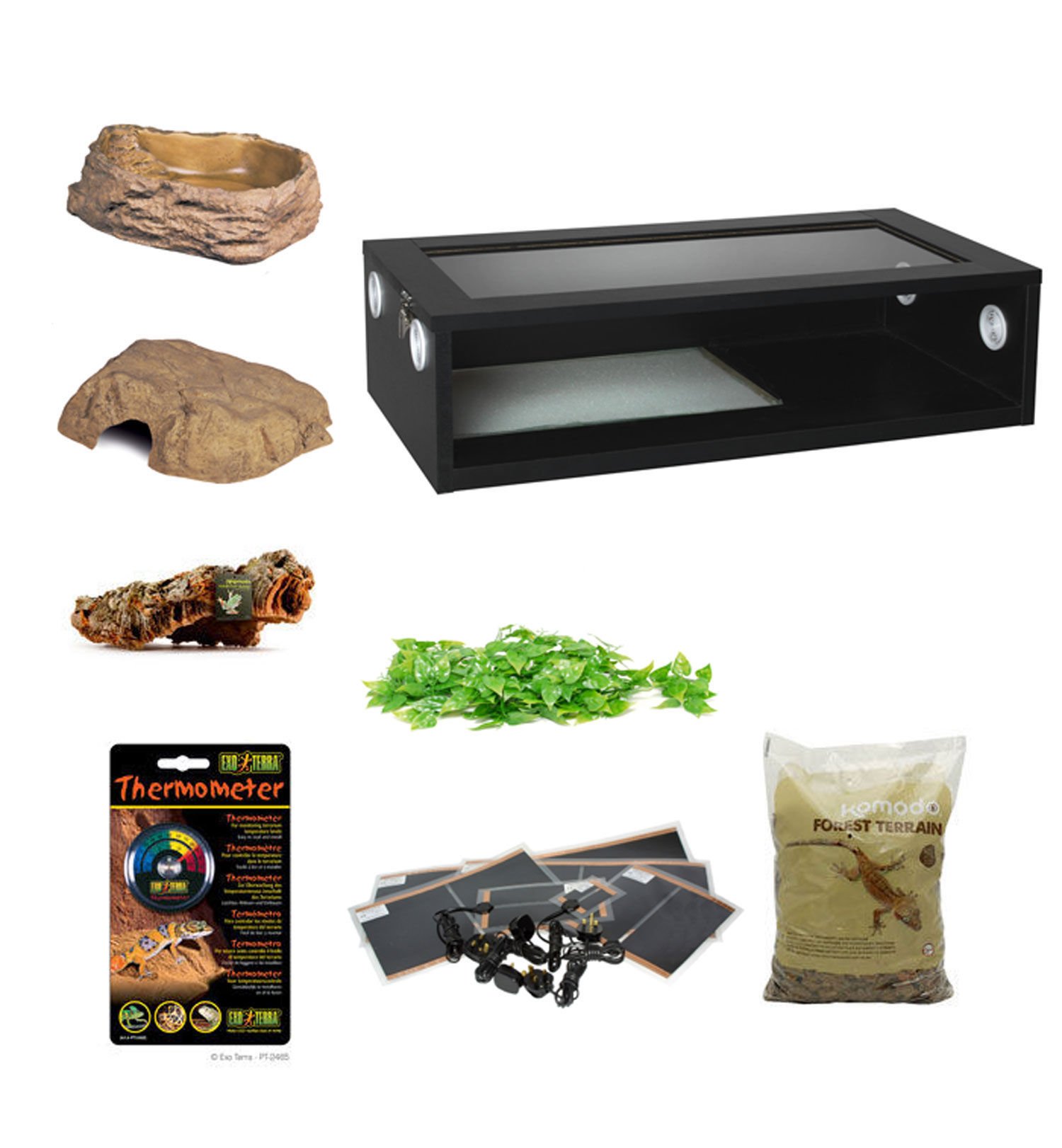 vivarium starter kit
