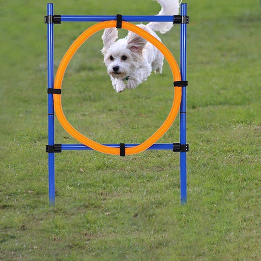 agility course for dogs amazon