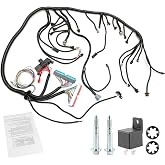 Standalone Wiring Harness, Fit for 97-06 GM LS1 Vortec Engine 4.8 5.3 6.0 L | 4L60E DBC, Red/Blue PCM, LS Swap Engine Harness, Stand Alone Wire Harness, Drive by Cable Throttle Body