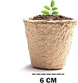 Keplin 96 Pack Biodegradable Seed Pots 5x6cm Compostable Seedling Pots view 5