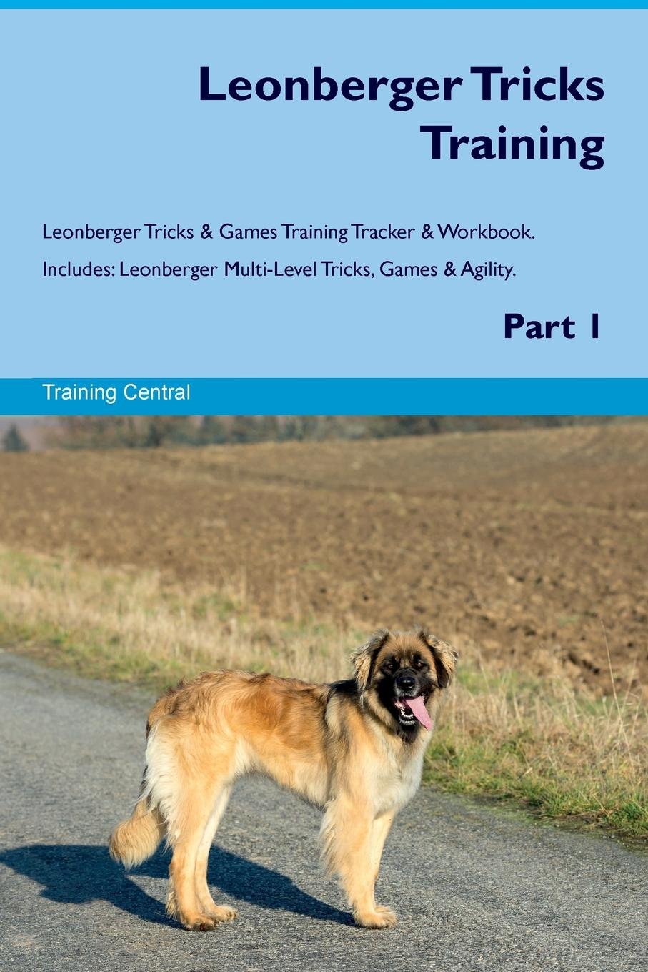 leonberger agility