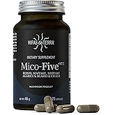HIFAS DA TERRA Mico-Five - Mushroom Complex, Mushroom Supplement with Organic Reishi, Shiitake, & Chaga, Herbal Nootropic & Immune Support, Adaptogen for Women & Men - 70 Vegan Capsules