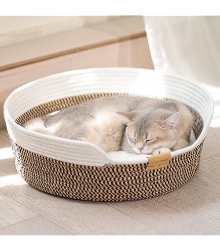 Amazon.com : Keter by Curver Knit Cozy Resin Plastic Pet Bed, Cat