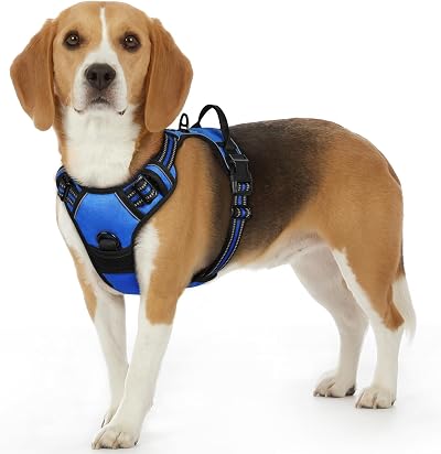 Eagloo Dog Harness Small Adjustable No Pull Reflective Blue S