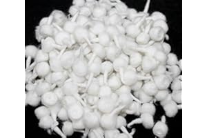 GRI9 1000Pc Hand Rolled Cotton Puja Wicks Oil Lamps Cotton Wicks for Puja Pooja Jyot Batti Oil Lamp DIiya for Diwali Deepawali Diya, Ideal for Brass, Kuber Clay Diya Home Mandir Temple (Round, 1000)