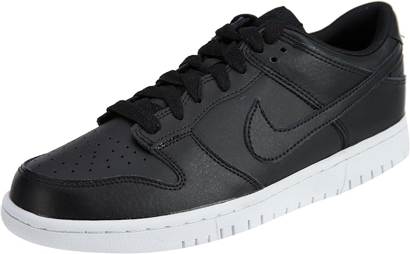 nike dunk low basketball