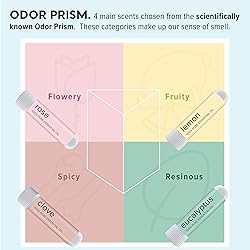 MOXĒ Smell Training Kit, Made in USA, 4 Essential