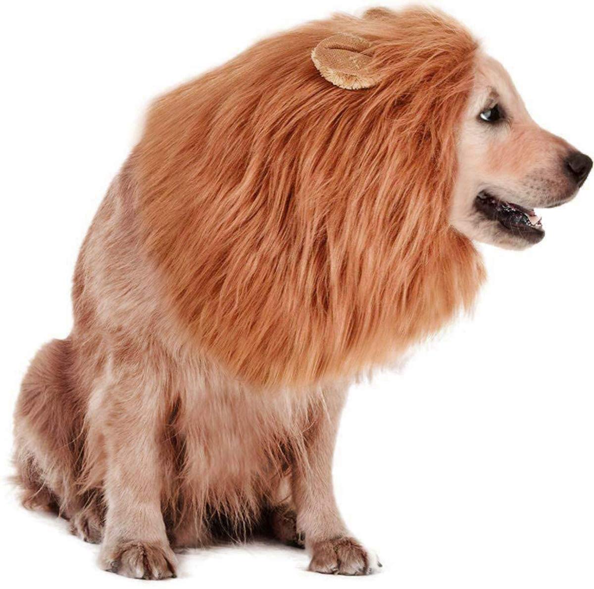 Lakobos Dog Lion Mane, Lion Mane Wig Costumes for Medium Sized Dog with Ears & Tail, Fancy Lion Hair for Holiday Photo Shoots
