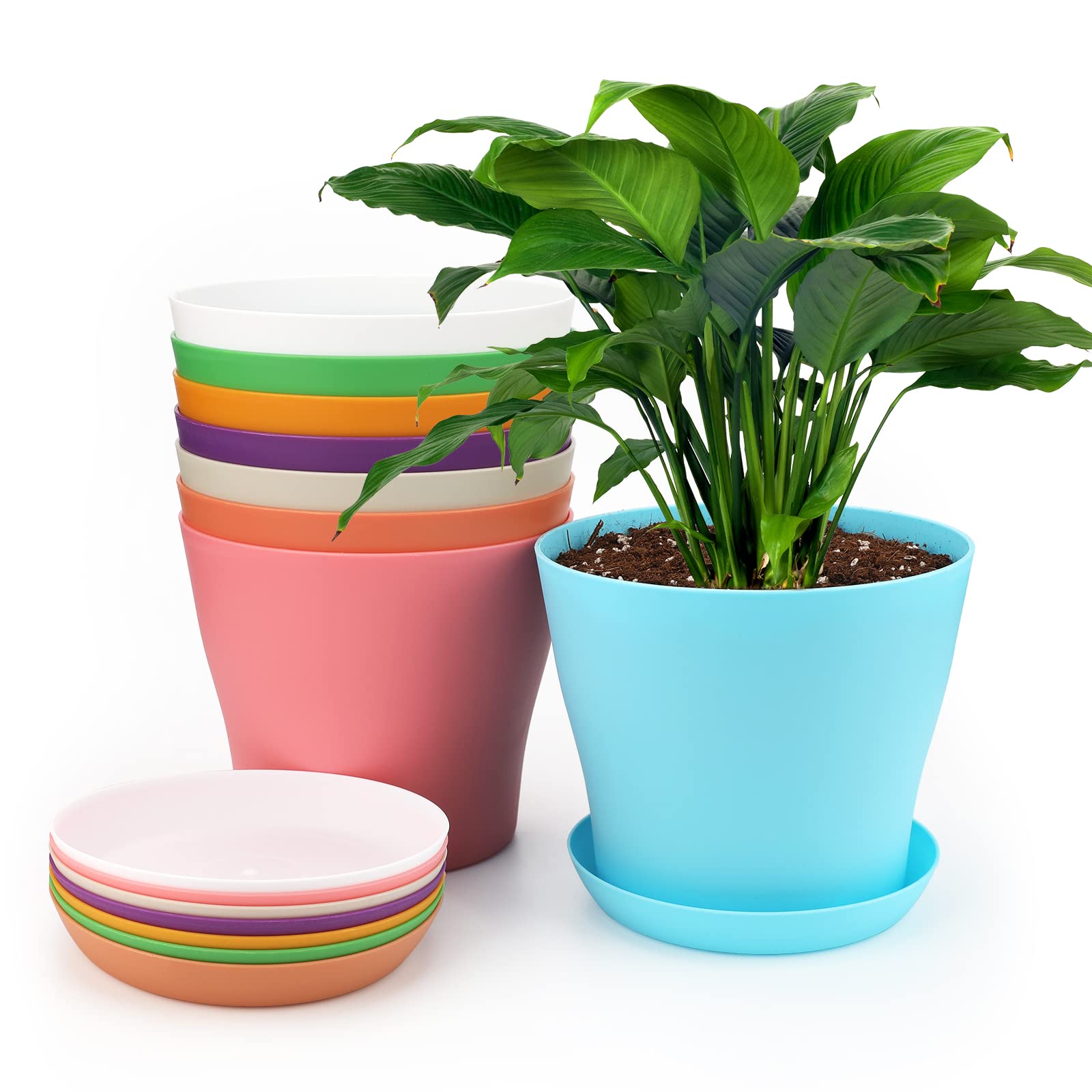 KINGLAKE 8Pcs 5.5" Colorful Plastic Plant Pots Indoor Flower Pots with Pallet/Trays for Office House, 8 Colors