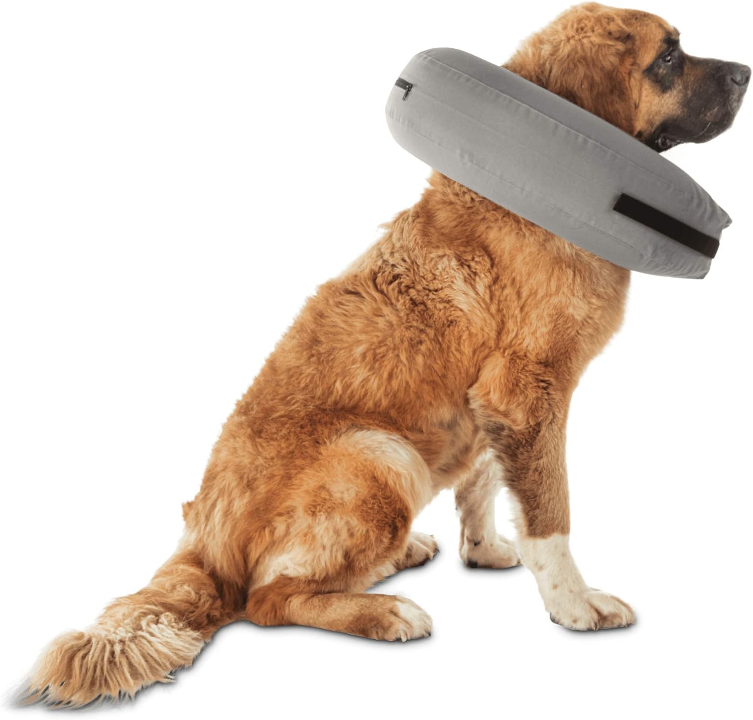 well and good inflatable dog collar