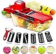 BYETOO Mandoline Slicer Vegetable Cutter Grater Chopper Julienne Slicer-6 Interchangeable Blades with Peeler,Hand Protector,Food Storage Container - Cutter for Potato,Tomato,Onion,Cheese,Cucumber etc