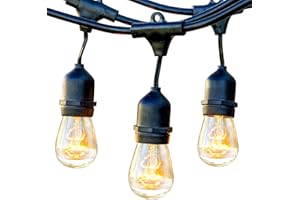 Brightech Ambience Pro Outdoor String Lights - Commercial Grade Waterproof Patio Lights with 48 Ft Dimmable Incandescent Edison Bulbs, Porch String Lights for Patio, Backyard - 15 Bulbs 11W