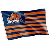 Desert Cactus Bucknell University Indoor and Outdoor 100% Polyester University Flag Banner, 3x5 Feet Bucknell Bison (Nation)