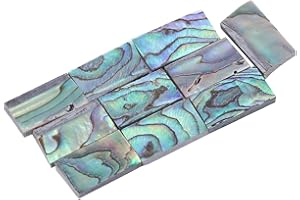 EUJGOOV 10Pcs Guitars Inlay Material,Guitar Abalone Shell Pieces, Abalone Shell Sheet Fretboard Inlays Materials,Shell Inlay