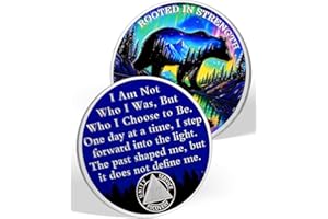 YRCKUDZKG Rooted in Strength 3 Year Sobriety Coin – Bear & Aurora Design | AA Coin with Token Capsule, Sobriety Gifts for Men & Women, Alcohol Free Anniversary Celebration Gift