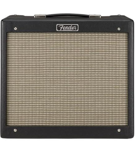 Amazon.com: Fender Blues Junior Amplfier Cover, Black : Everything