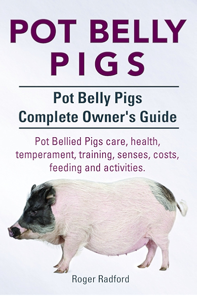 owning a potbelly pig as a pet