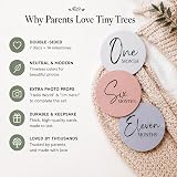 Tiny Trees Baby Milestone Discs & Cards 7 Double-Sided 0-12 Months view 6