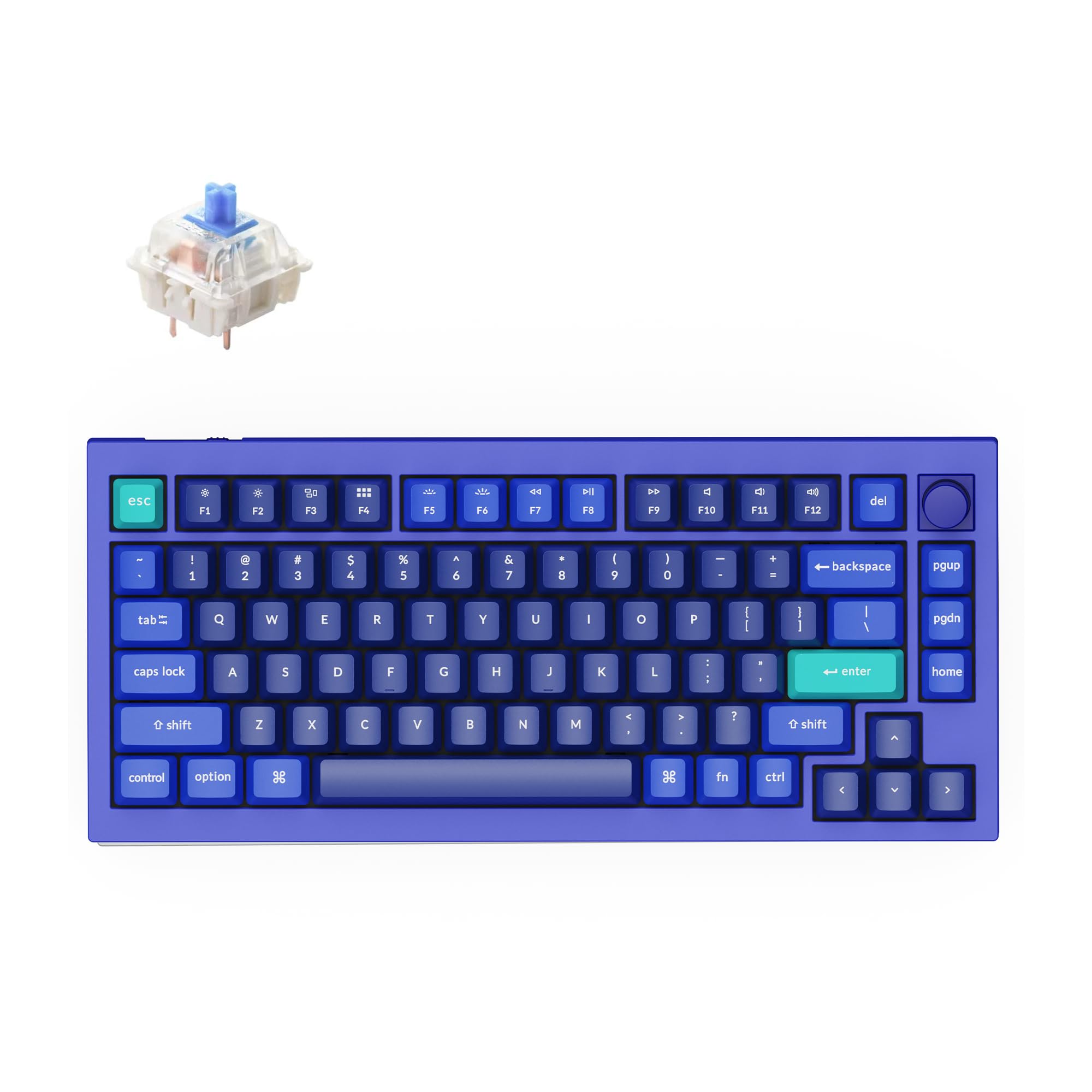 Keychron Q1 RGB Wired Custom Mechanical Keyboard Knob Version, 75% Layout QMK/VIA Programmable with Hot-swappable Gateron G Pro Blue Switch Double Gasket Compatible with Mac Windows Linux (Blue)