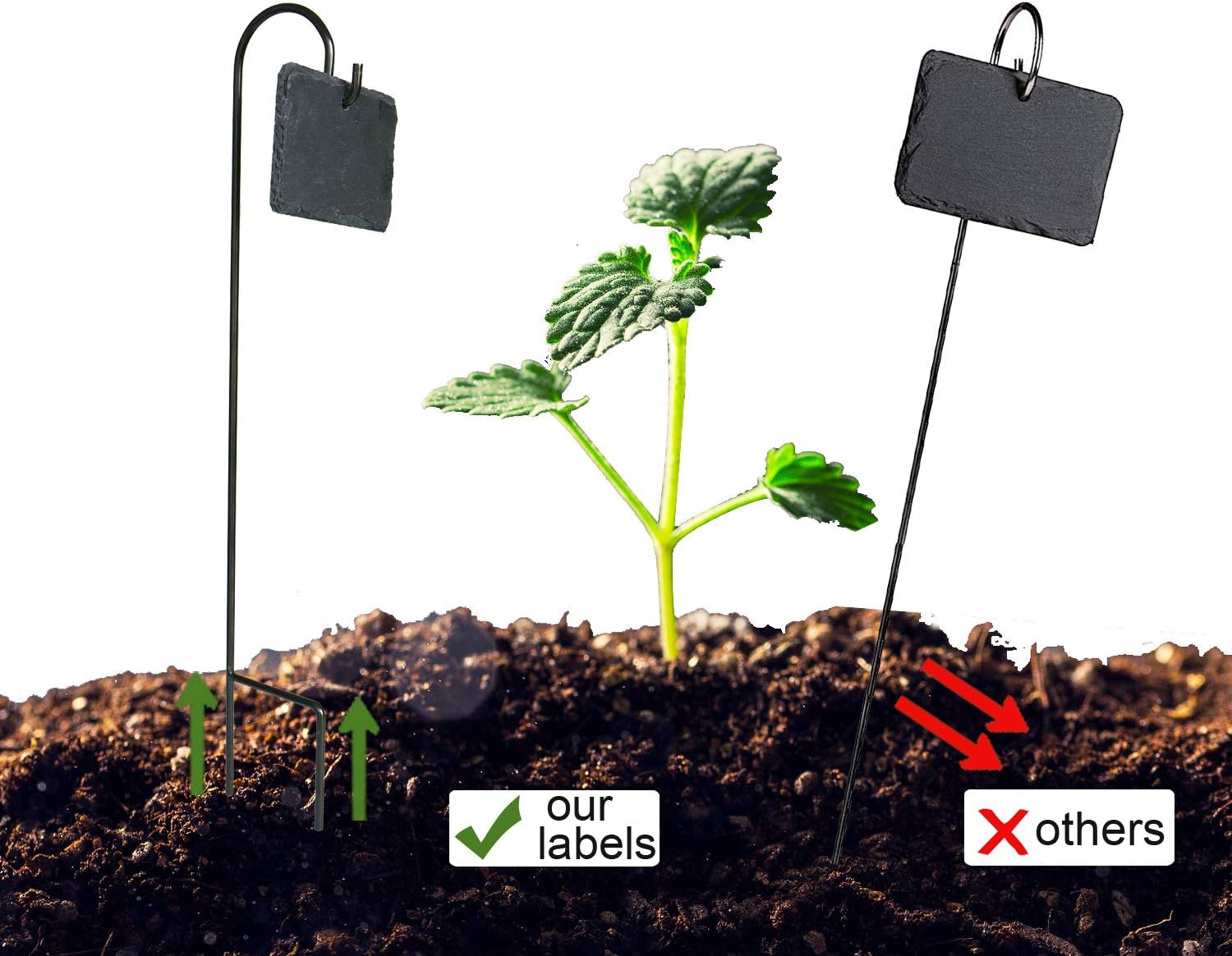 Fendio 10 juegos de etiquetas para plantas, 2.75 pulgadas x 3.84 ...